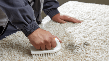Professional Rug Cleaning Barrabool